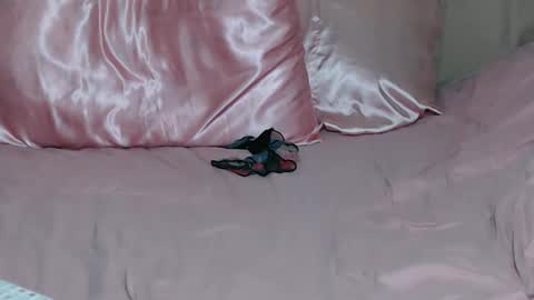 Image of Full archive of im_pussycat nude recordings. Monitor and record im_pussycat for free from Chaturbate.