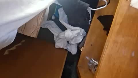 Image of Full archive of imdown2party nude recordings. Monitor and record imdown2party for free from Chaturbate.
