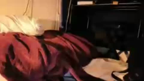 Image of Full archive of itzd123 nude recordings. Monitor and record itzd123 for free from Chaturbate.