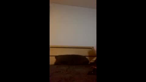 Image of Full archive of iwantu1230 nude recordings. Monitor and record iwantu1230 for free from Chaturbate.