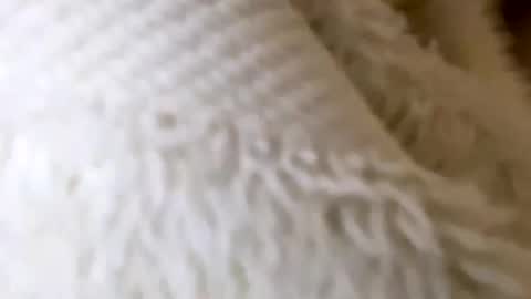 Image of Full archive of jadeluxe nude recordings. Monitor and record jadeluxe for free from Chaturbate.