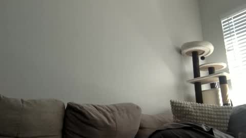 Image of Full archive of jarmy1238 nude recordings. Monitor and record jarmy1238 for free from Chaturbate.