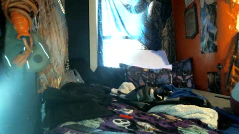 Image of Full archive of jax_skyfallin nude recordings. Monitor and record jax_skyfallin for free from Chaturbate.