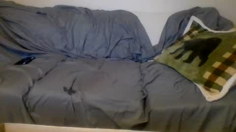 Image of Full archive of jjthesnake04 nude recordings. Monitor and record jjthesnake04 for free from Chaturbate.