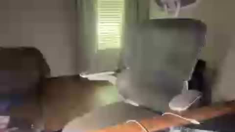Image of Full archive of johncollegedick nude recordings. Monitor and record johncollegedick for free from Chaturbate.