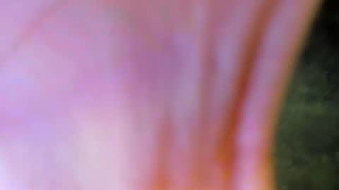 Image of Full archive of johny_gleeson nude recordings. Monitor and record johny_gleeson for free from Chaturbate.