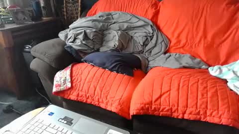 Image of Full archive of joshc211 nude recordings. Monitor and record joshc211 for free from Chaturbate.