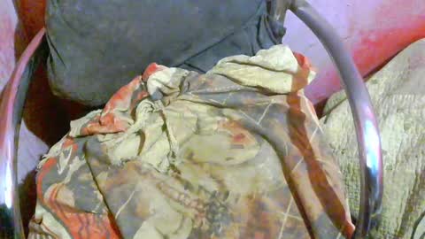 Image of Full archive of jshepeherdd nude recordings. Monitor and record jshepeherdd for free from Chaturbate.
