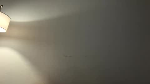 Image of Full archive of kiarafrenchyy nude recordings. Monitor and record kiarafrenchyy for free from Chaturbate.