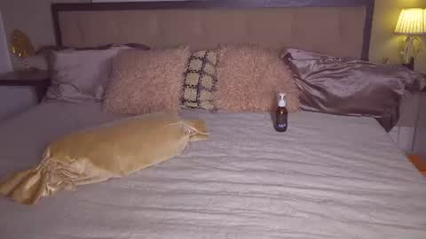 Image of Full archive of kirasunny nude recordings. Monitor and record kirasunny for free from Chaturbate.