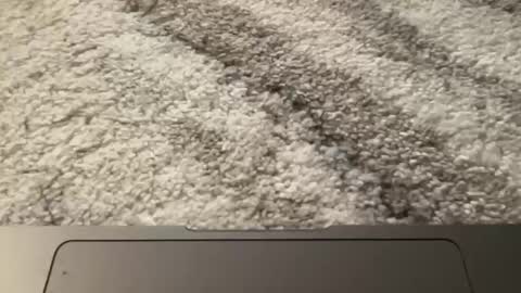 Image of Full archive of kittyempath777 nude recordings. Monitor and record kittyempath777 for free from Chaturbate.