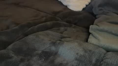 Image of Full archive of kittysub6969 nude recordings. Monitor and record kittysub6969 for free from Chaturbate.