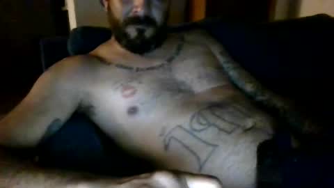 Image of Full archive of larrabee13 nude recordings. Monitor and record larrabee13 for free from Chaturbate.
