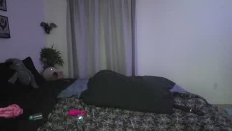 Image of Full archive of lexxxy_cookie_003 nude recordings. Monitor and record lexxxy_cookie_003 for free from Chaturbate.