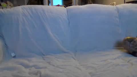 Image of Full archive of lillexxxylover nude recordings. Monitor and record lillexxxylover for free from Chaturbate.