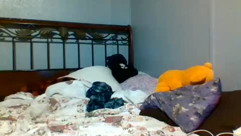 Image of Full archive of lion_and_bunny nude recordings. Monitor and record lion_and_bunny for free from Chaturbate.