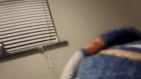 Image of Full archive of livetyy nude recordings. Monitor and record livetyy for free from Chaturbate.