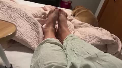 Image of Full archive of livyourfantasy nude recordings. Monitor and record livyourfantasy for free from Chaturbate.