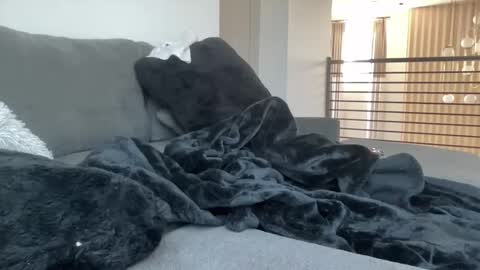 Image of Full archive of longdandtightbody nude recordings. Monitor and record longdandtightbody for free from Chaturbate.