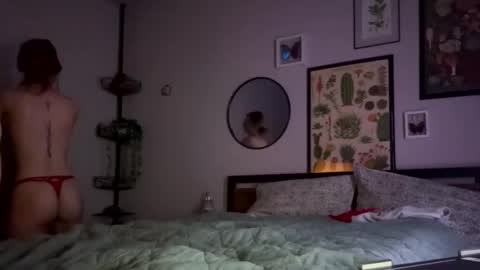 Image of Full archive of maddie_jace nude recordings. Monitor and record maddie_jace for free from Chaturbate.