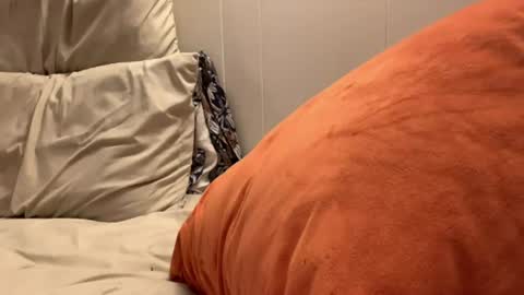 Image of Full archive of mamamissthang nude recordings. Monitor and record mamamissthang for free from Chaturbate.