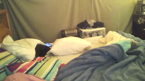 Image of Full archive of maskedcouple0420 nude recordings. Monitor and record maskedcouple0420 for free from Chaturbate.