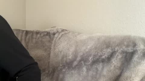 Image of Full archive of maxam6901 nude recordings. Monitor and record maxam6901 for free from Chaturbate.