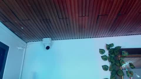 Image of Full archive of merolinegp nude recordings. Monitor and record merolinegp for free from Chaturbate.