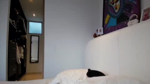 Image of Full archive of miaduval nude recordings. Monitor and record miaduval for free from Chaturbate.