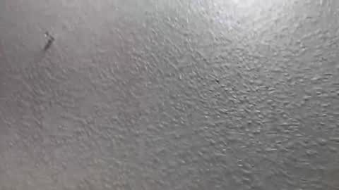 Image of Full archive of miss_pinks_ nude recordings. Monitor and record miss_pinks_ for free from Chaturbate.