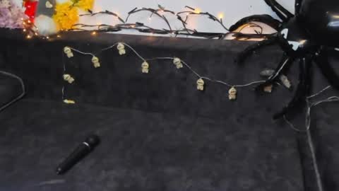 Image of Full archive of mistyfox_rea nude recordings. Monitor and record mistyfox_rea for free from Chaturbate.