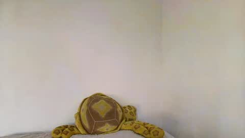 Image of Full archive of motita14 nude recordings. Monitor and record motita14 for free from Chaturbate.