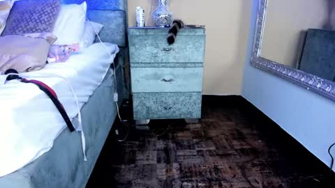 Image of Full archive of naomysakura nude recordings. Monitor and record naomysakura for free from Chaturbate.
