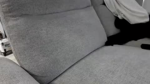 Image of Full archive of noname1219 nude recordings. Monitor and record noname1219 for free from Chaturbate.