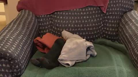 Image of Full archive of normamd nude recordings. Monitor and record normamd for free from Chaturbate.