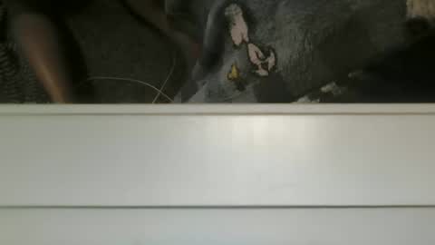 Image of Full archive of nsanchez10 nude recordings. Monitor and record nsanchez10 for free from Chaturbate.
