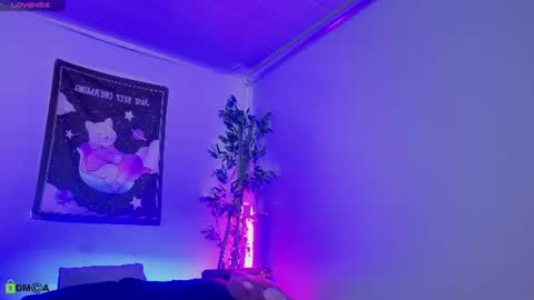 Image of Full archive of nyx_nayla nude recordings. Monitor and record nyx_nayla for free from Chaturbate.