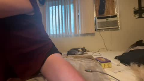 Image of Full archive of ocnympho nude recordings. Monitor and record ocnympho for free from Chaturbate.