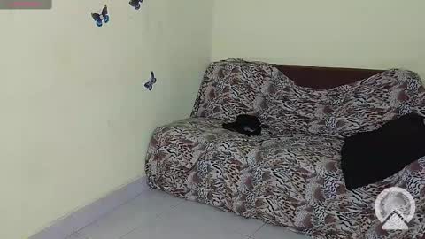 Image of Full archive of pareja_lujuriosa25 nude recordings. Monitor and record pareja_lujuriosa25 for free from Chaturbate.