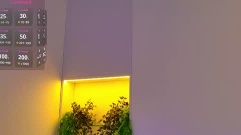 Image of Full archive of petitedaisy__ nude recordings. Monitor and record petitedaisy__ for free from Chaturbate.