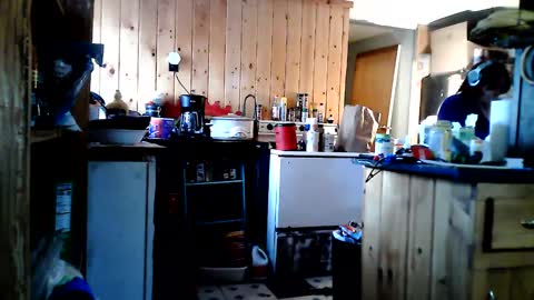 Image of Full archive of petmykitty nude recordings. Monitor and record petmykitty for free from Chaturbate.