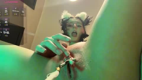 Image of Full archive of pinkfondness nude recordings. Monitor and record pinkfondness for free from Chaturbate.