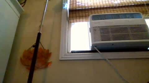 Image of Full archive of queencrimsonlvx nude recordings. Monitor and record queencrimsonlvx for free from Chaturbate.