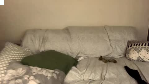 Image of Full archive of raquellaromera nude recordings. Monitor and record raquellaromera for free from Chaturbate.