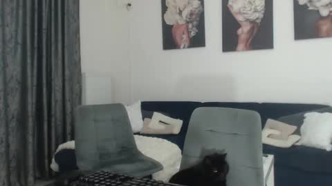 Image of Full archive of riderrandy nude recordings. Monitor and record riderrandy for free from Chaturbate.