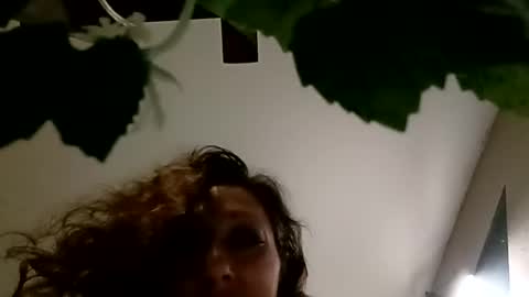 Image of Full archive of rizzarabbit nude recordings. Monitor and record rizzarabbit for free from Chaturbate.