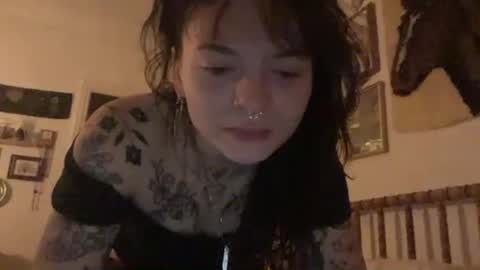 Image of Full archive of rosepetalflora nude recordings. Monitor and record rosepetalflora for free from Chaturbate.