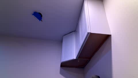 Image of Full archive of secretstreamer679472 nude recordings. Monitor and record secretstreamer679472 for free from Chaturbate.