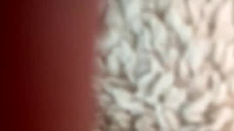 Image of Full archive of seven6inches nude recordings. Monitor and record seven6inches for free from Chaturbate.