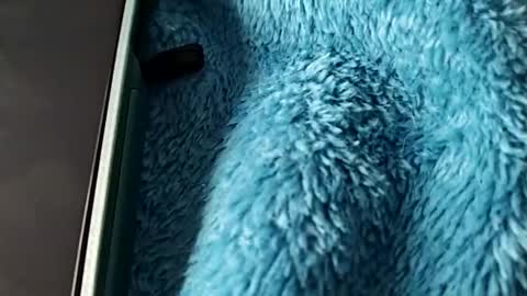 Image of Full archive of sexy474111 nude recordings. Monitor and record sexy474111 for free from Chaturbate.